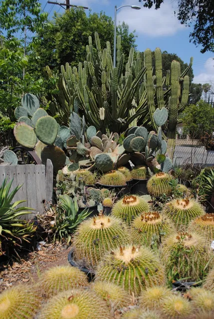 California Nursery Specialties Cactus Ranch