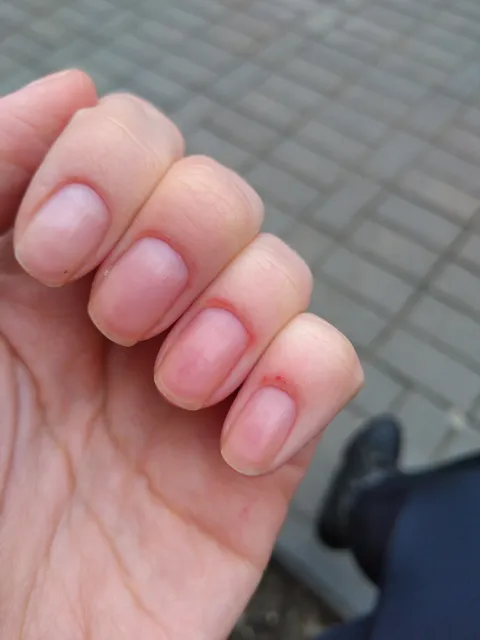 Studiya Manikyura I Pedikyura Le Manikyur