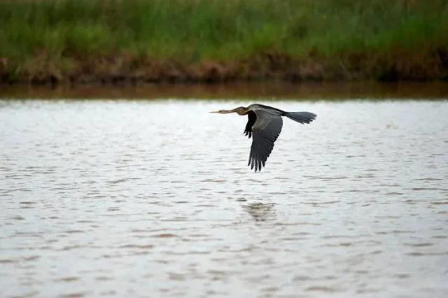 Đồng Tháp Province