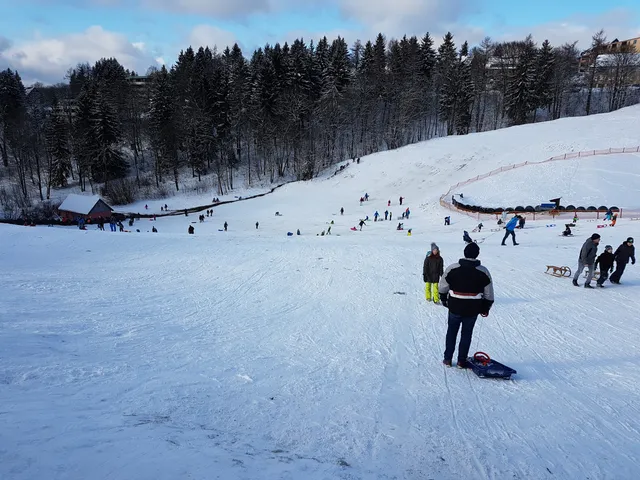 Toboggan run in Teichtal (bob sleigh)