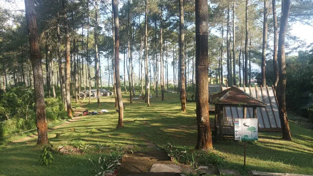 Bandung Treetop Adventure Park