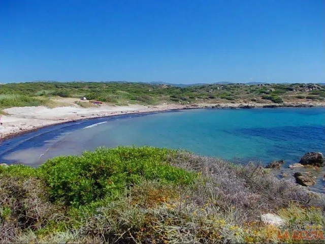 Spiaggia Lu Pultiddolu