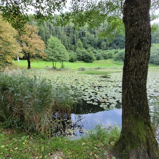 Jahreszeitenweg Golling