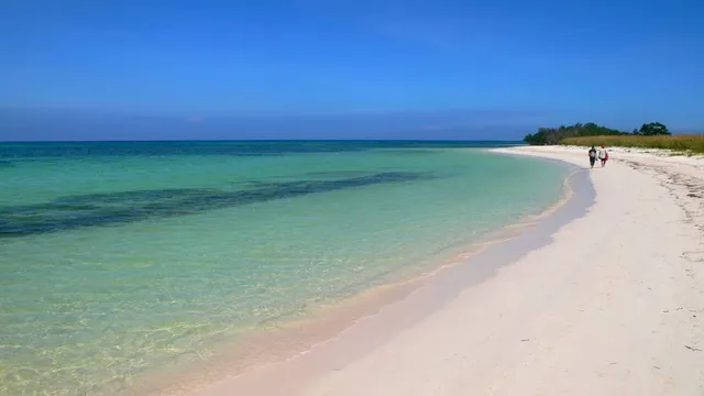 Cayo Jutías