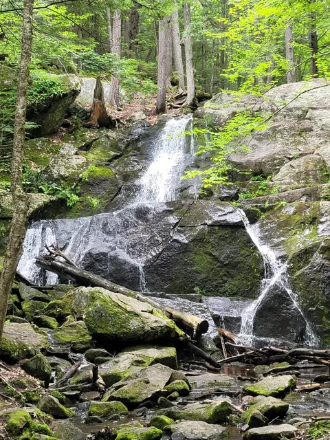 Walter Newton Natural Area Conservation Area & Waterfall