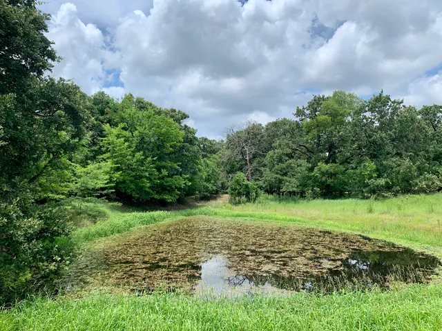 Bob Jones Nature Center and Preserve