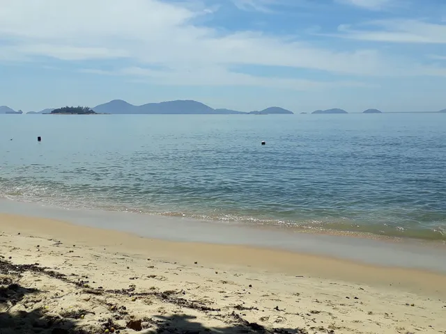 Beach Sawdust - Ibicui