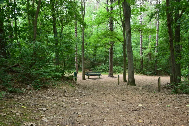Staatsbosbeheer