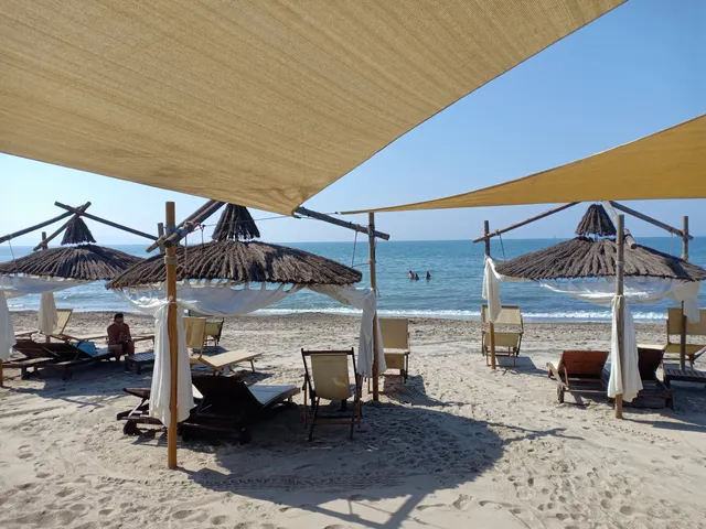 Pasha Glam Dog Beach