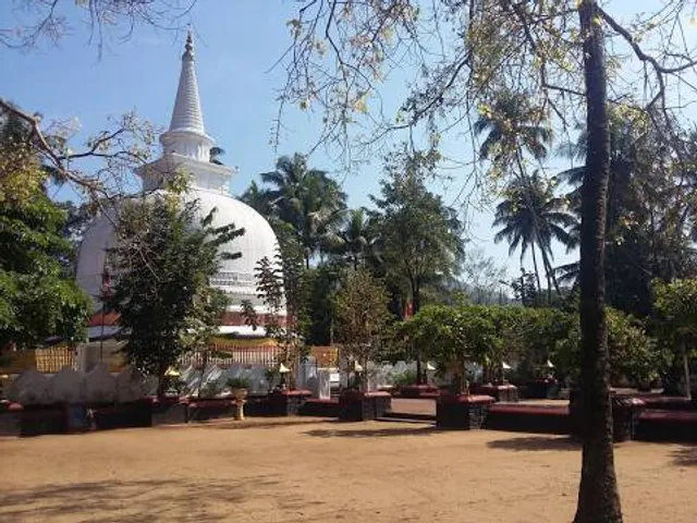 photo-1