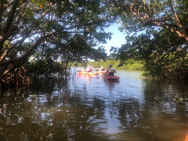 Adventure Sea Kayak & SUP