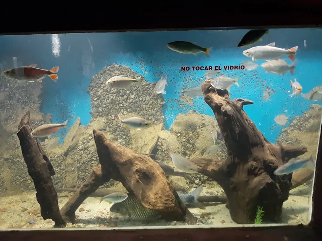 Colonia del Sacramento Aquarium