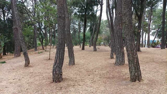 Parque Eca do Queirós