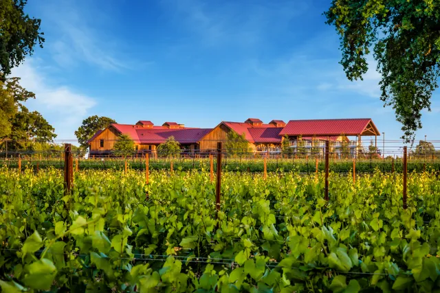 Oak Farm Vineyards