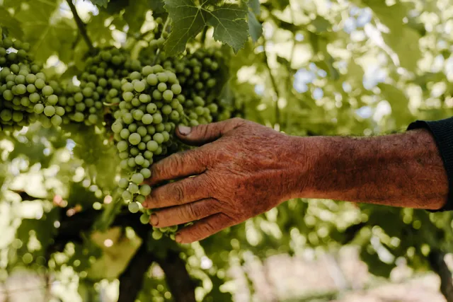 General Líber Seregni