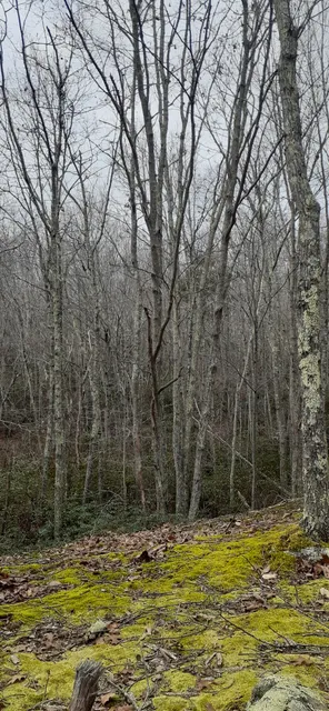 Oswegatchie Hills Nature Preserve