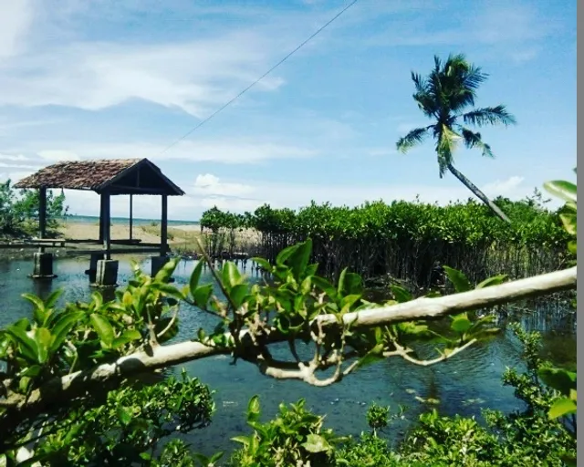 Pantai Beringin Cinta