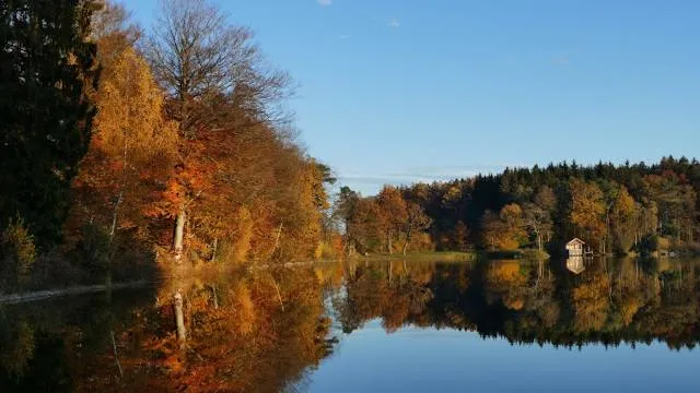 Holzweiher