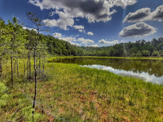 Rezerwat przyrody Dury