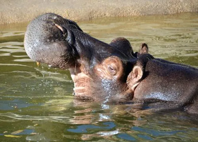 Zoo du Bois d'Attilly
