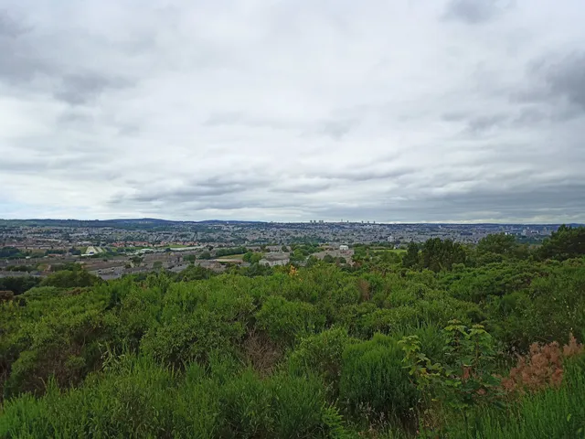 Kincorth Hill Local Nature Reserve
