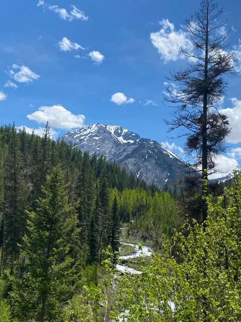 Hurricane Creek Trailhead