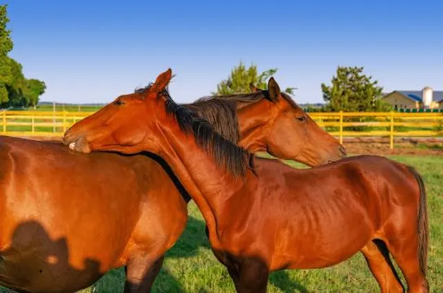 Parque Pleistocénico Chuyaca