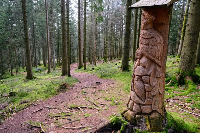 WaldErlebnisStation Ottersweier