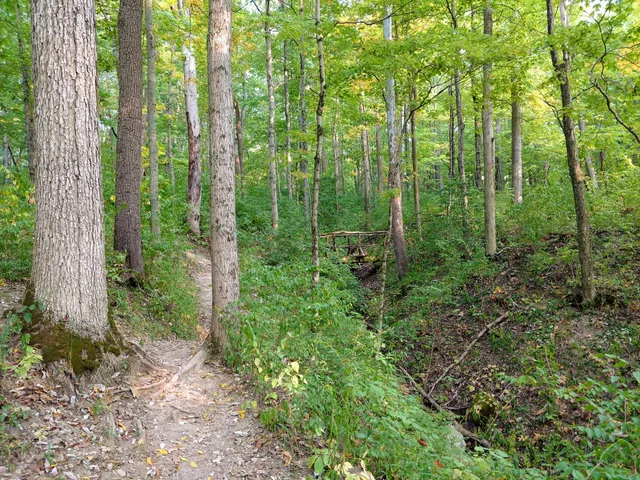 Taylorsville MetroPark