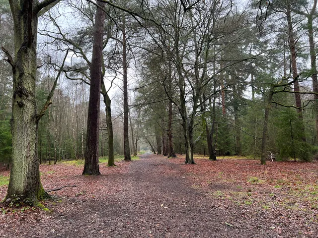 Hartland Country Park