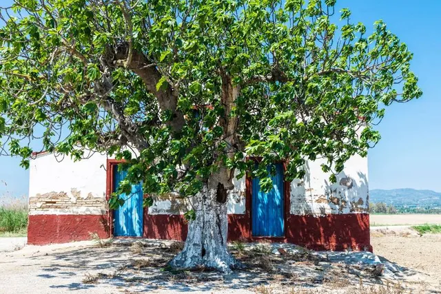 Parque Natural del Delta del Ebro