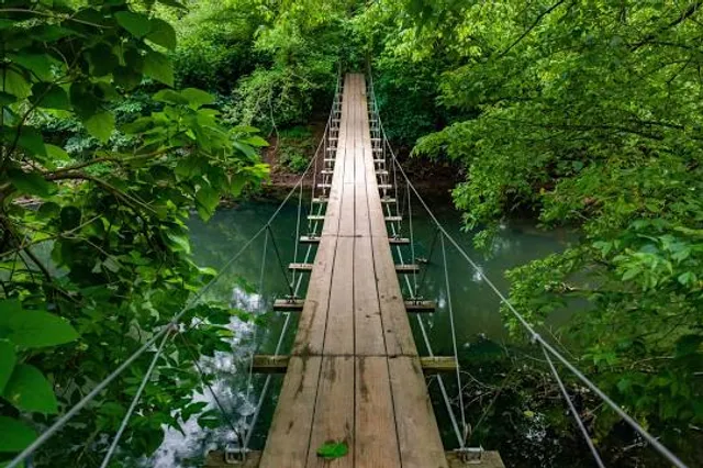 Pavinakurva Hanging Bridge