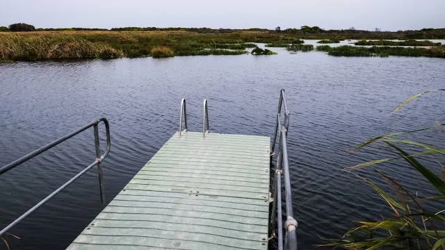Piccaninnie Ponds Conservation Park