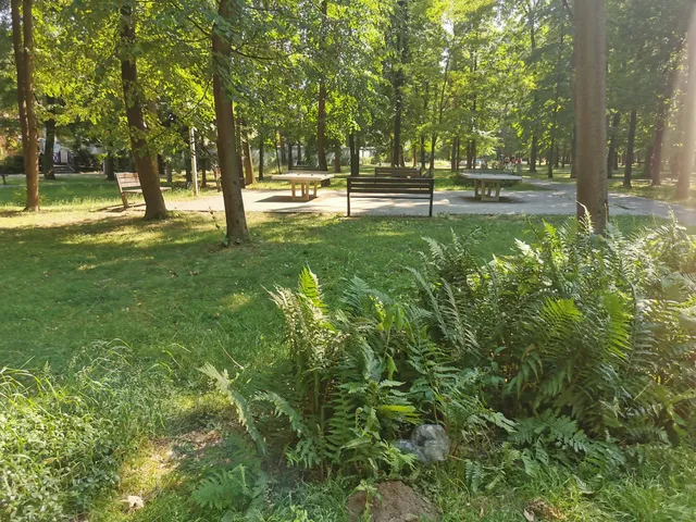 Jan Izydor Sztaudynger City Park