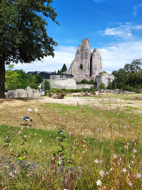 Grand Rocher du Parc Zoologique de Paris