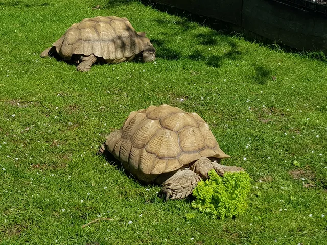 Biberhof im Spreewald