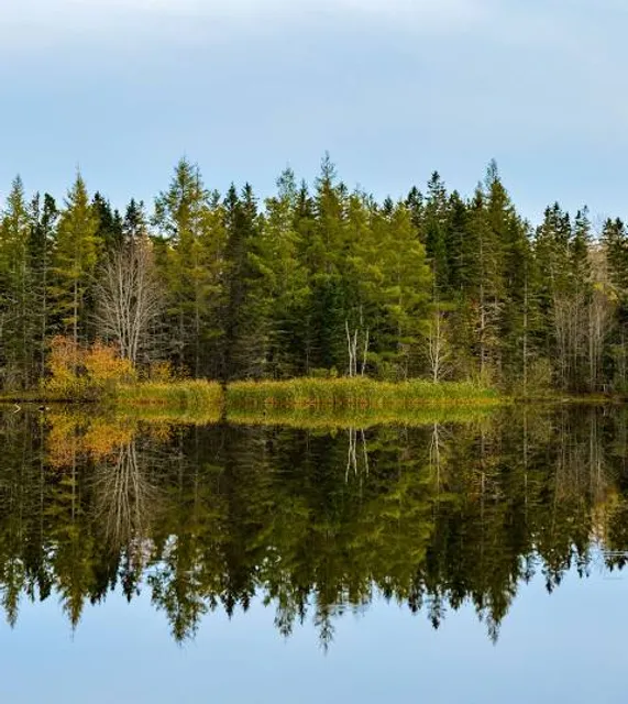 Harvey Moore Wildlife Sanctuary