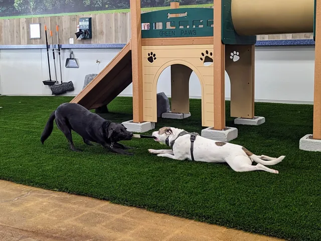 Bark Dog Park & Tap Room