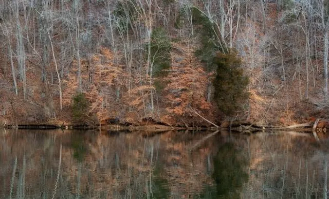 Warriors' Path State Park