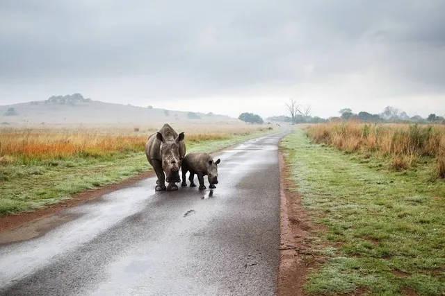 Rietvlei Nature Reserve