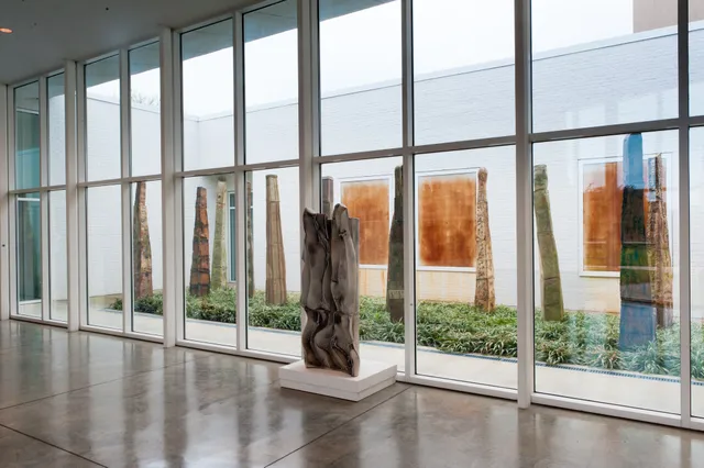 Daum Museum of Contemporary Art