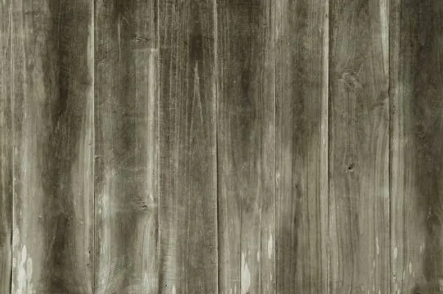 Stonelick State Park