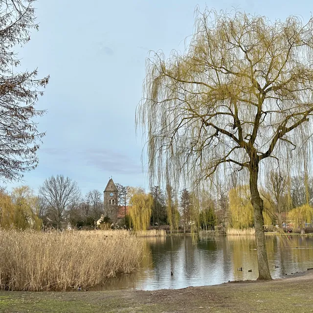 Dorfteich Lichtenrade