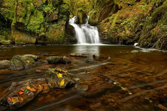 Mullinhassig Wood & Waterfalls, Aghavrin