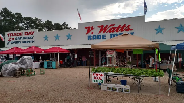 V. Watts Furniture, Inc