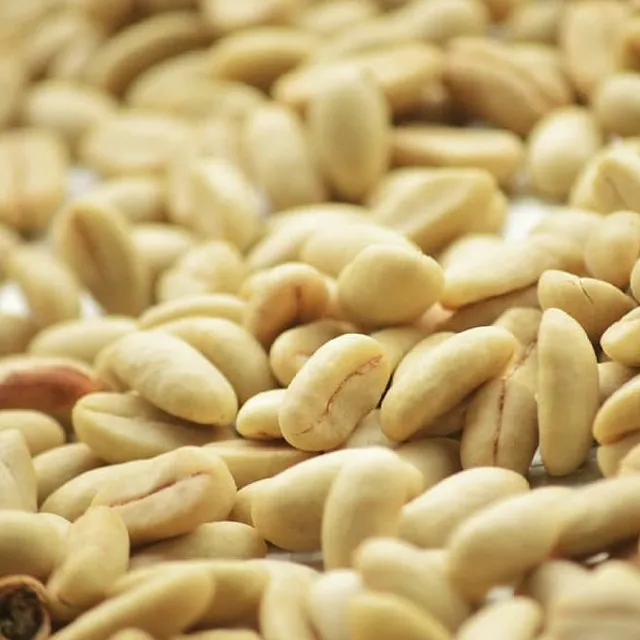 GUNUNG COFFEE - Industri Bubuk Kopi Gayo