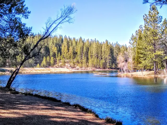 Arnold Rim Trail Head