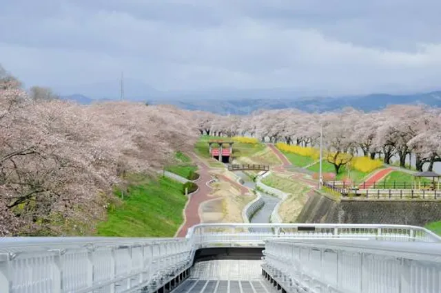 Shibata Senzakura Bridge (Hitome Senbonzakura)