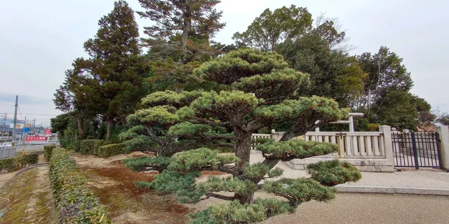 photo-2