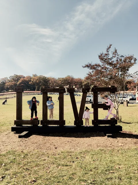 Virginia is for Lovers LOVEwork